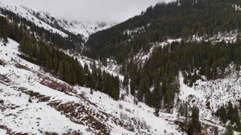 4K 60fps Drone Fly Forward Over Henlabbach Valley, Austrian Alps Stock Footage 332234452