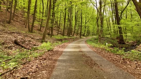 4K 60fps Drone Fly Forward: Forest Road with Stream and Sunlit Trees, Orovnica Stock Footage 333073784