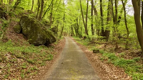 4K 60fps Drone Fly Forward: Forest Road with Large Mossy Rock, Orovnica Stock Footage 333129596
