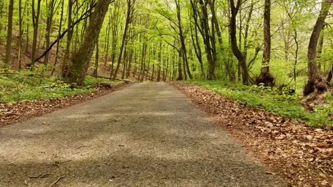 4K 60fps Drone Fly Forward: Low Angle Over Winding Forest Road, Orovnica Stock Footage 333212063