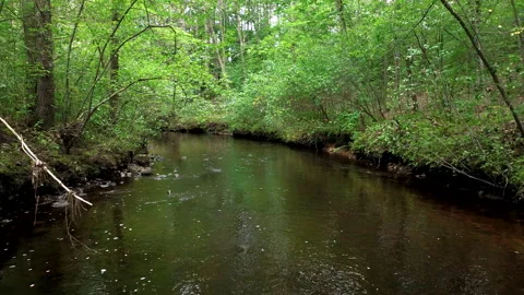 4K 60FPS Drone Flying Downstream on the Prince River A 動画素材 248405564