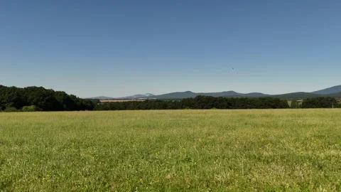 4K 60fps Drone: Flying Through Wooden Fence into Horse Pasture Stock Footage 337539484