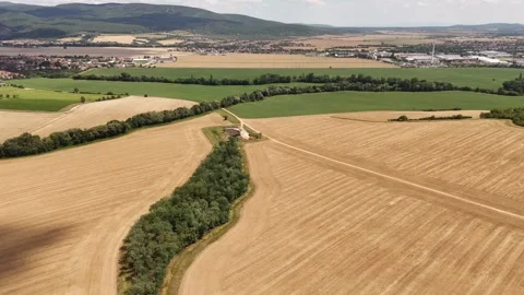 4K 60fps Drone Flyover: Countryside Village, Fields &amp; Tree Line Stock Footage 340189075