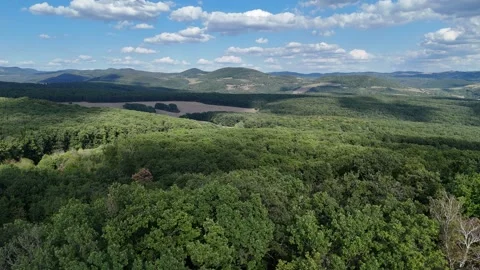 4K 60fps Drone Flyover: Dense Green Forest and Hills Landscape Stockbeeldmateriaal 343433656