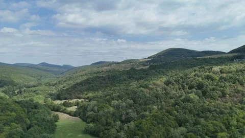 4K 60fps Drone Flyover: Dense Forest Valley and Mountains Stockbeeldmateriaal 343737952