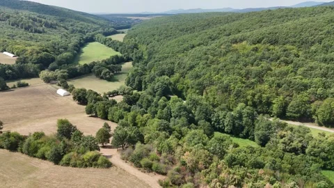 4K 60fps Drone Flyover: Forest Valley Meadow and Meadows 스톡 동영상 343739318