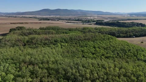 4K 60fps Drone Flyover: Forest Canopy, Open Fields &amp; Mountain Horizon Stock-Footage 345143331