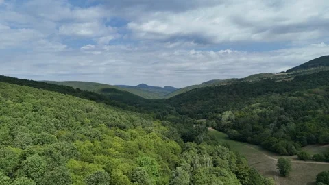 4K 60fps Drone Flyover: Forested Mountain Valley Canopy Stockbeeldmateriaal 343741198