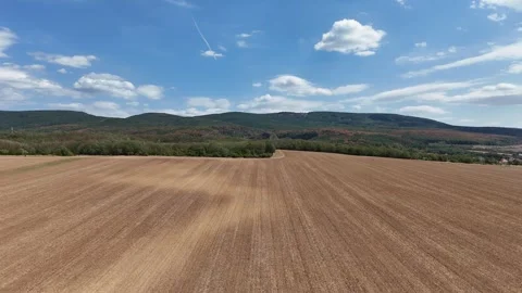 4K 60fps Drone Flyover: Golden Harvest Field and Forested Hills Stockbeeldmateriaal 343735785