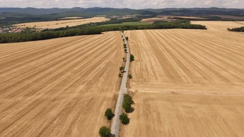 4K 60fps Drone Flyover: High Altitude Country Road &amp; Golden Fields Stock Footage 340029663