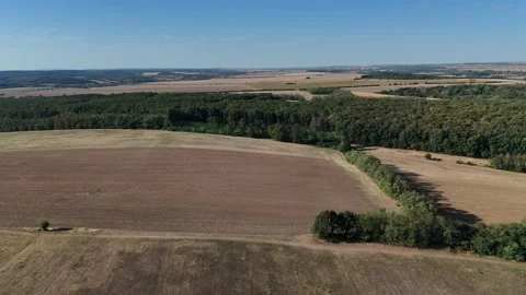 4K 60fps Drone Flyover: Tilled Field, Forest Patch &amp; Horizon Stockbeeldmateriaal 345046689