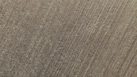 4K 60fps Drone Flyover: Tilled Field, Forest Patch &amp; Horizon Stockbeeldmateriaal 345046976