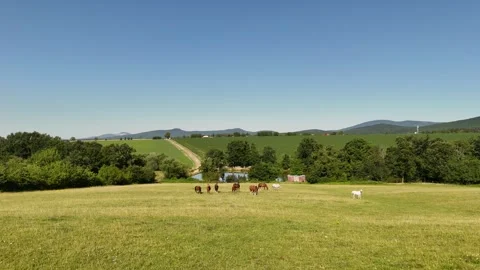 4K 60fps Drone: Forward Flight Over Horse Pasture with Pond and Hills Stock Footage 337543129