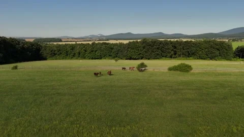 4K 60fps Drone: Forward Flight Over Horse Paddock and Countryside Stock Footage 337577391