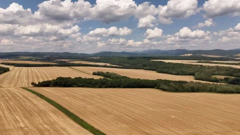 4K 60fps Drone Forward Flyover: Wheat Fields, Trees &amp; Mountains Stock Footage 340029024