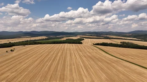 4K 60fps Drone Forward Flyover: Golden Fields &amp; Scenic Mountain Scenery Stock Footage 340029917