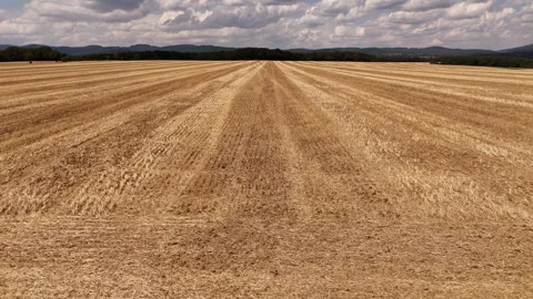4K 60fps Drone Low Flyover: Harvested Field &amp; Horizon Mountains Stock Footage 340028702