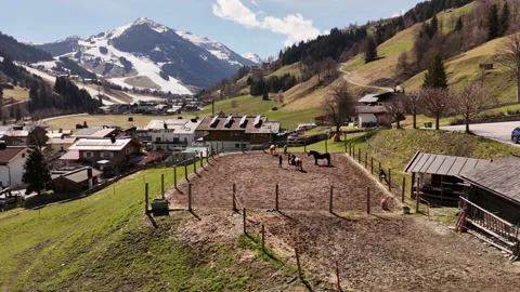 4K 60fps Drone Partial Orbit: Side View of Horse Training, Saalbach Stock Footage 332670034