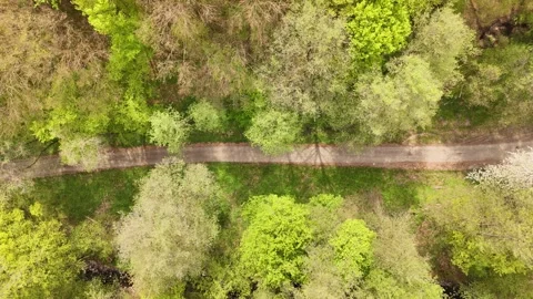 4K 60fps Drone Top-Down: Vertical Ascent Over Forest Road, Orovnica Stock Footage 336267886