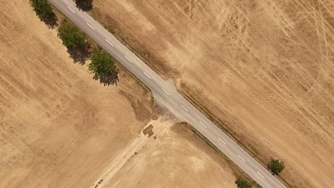 4K 60fps Drone Top-Down Spiral Descent: Close-Up Road &amp; Trees Stock Footage 340188936