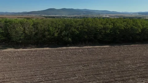4K 60fps Drone Vertical Ascension: Tilled Field, Forest &amp; Mountains Horizon Stock-Footage 345142246