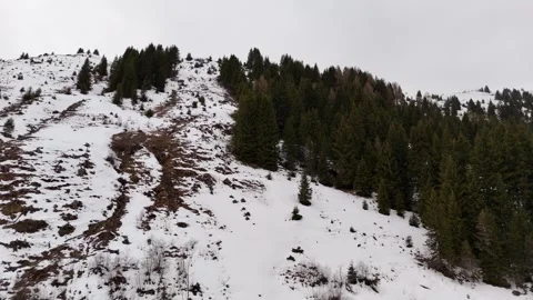 4K 60fps Drone Vertical Ascent Over Henlabbach Valley to Snowy Alps 库存影片 332235016