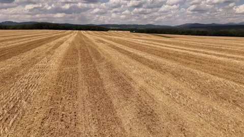 4K 60fps Drone Vertical Ascent: Smooth Pedestal Rise &amp; Countryside Stock Footage 340189445