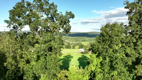 4K 60FPS Flying Through Trees Reveal a Berkshires Farm 動画素材 250482291