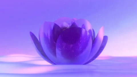 4k 60fps. Magic blooming flower. Glass petals. Violet color. Evening light. Stock Footage 149706003