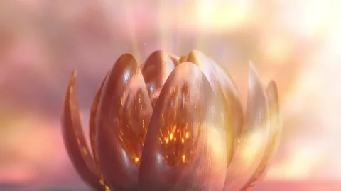 4k 60fps. Magic blooming flower. Glass petals. Gold color. Sunset light. Stock Footage 149706043