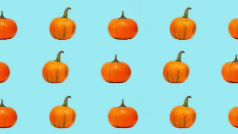 4K 60FPS Pumpkins Animation - Pop Upand Horizontal Movement Animation. Stock Footage 142109203
