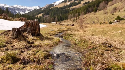 4K 60fps Scenic Alpine Stream with Tree Stumps in Lengau Valley Stock Footage 332659675