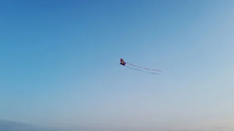 4k 60fps stabilized video butterfly kite 스톡 동영상 112997351