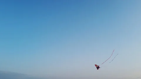 4k 60fps stabilized video butterfly kite 스톡 동영상 112997719