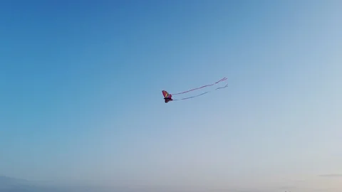 4k 60fps stabilized video butterfly kite 스톡 동영상 112997723