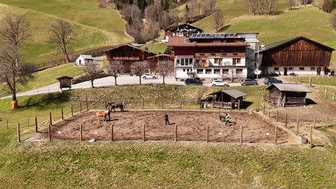 4K 60fps Static Drone Shot: Horses in Paddock at Alpine Farm, Saalbach Stock Footage 332671656