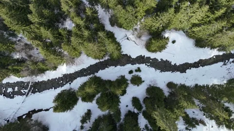 4K 60fps  Top-Down view of river in winter forest Saalbach - Hinterglemm, Lengau Vídeos de archivo 329577134