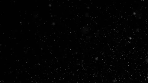 4K 60FPS White Dust Particles. Winter snowflakes. Looped footage 動画素材 170239011