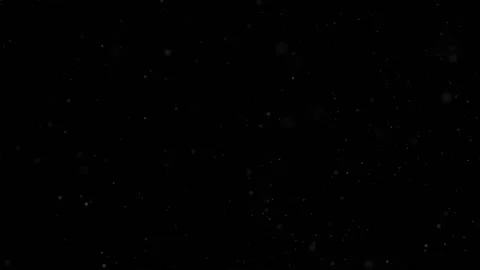 4K 60FPS White Dust Particles. Winter snowflakes. Looped footage 動画素材 170239705