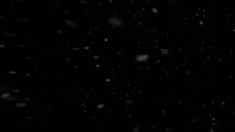 4K 60FPS White Dust Particles. Winter snowflakes. Looped footage Stock Footage 170253699