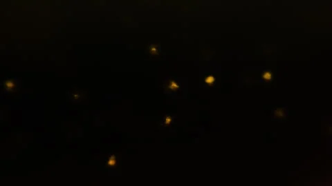 4K 60fps Yellow/Orange Floating Particles Flowing Top-to-Bottom (VFX Overlay) Stock Footage 321689670