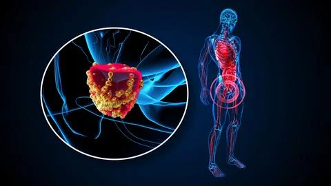 4K abstract 3D illustration of the prostate Stock Illustration