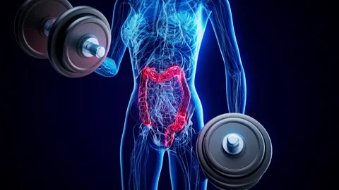 4k Abstract Animation Of The Gut Stock Video Pond5