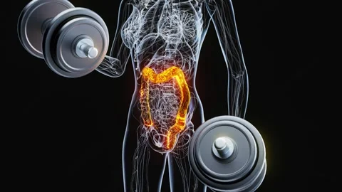 4k Abstract Animation Of The Gut Stock Video Pond5