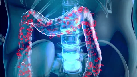 4K abstract animation of the gut microbiome Stock-Footage 236935395