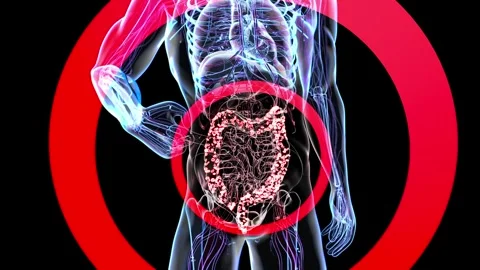4K abstract animation of the gut microbiome Stock-Footage 240832759