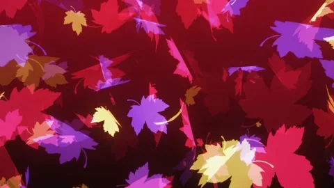 4k abstract autumn background, red purple and yellow maple leaves silouhette Vidéo 212966845
