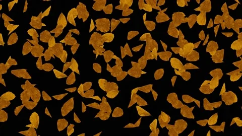 4K Abstract Autumn Maple background leaf and particle light falling loop Stock Footage 140303497