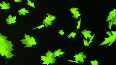 4K Abstract Autumn Maple background leaf and particle light falling loop Stock Footage 141170260