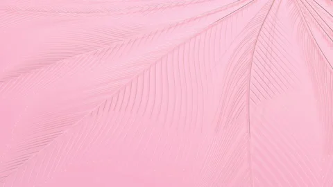 4k Abstract background. Growing lines. Colorful motion wallpaper. Stock Footage 149897864